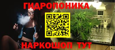мдпв Будённовск