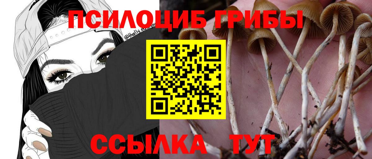 Псилоцибиновые грибы мухоморы Ленинск-Кузнецкий