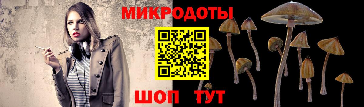 Ленинск-Кузнецкий  Галлюциногенные грибы GOLDEN TEACHER  где найти наркотики  Вход с VPN 