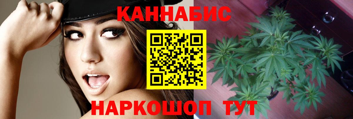 Канабис OG Kush Ленинск-Кузнецкий